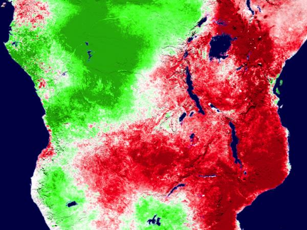 image of land surface data