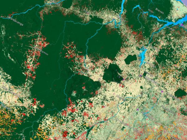 image of land surface data