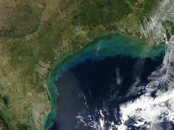 image of sediment in TX gulf coast