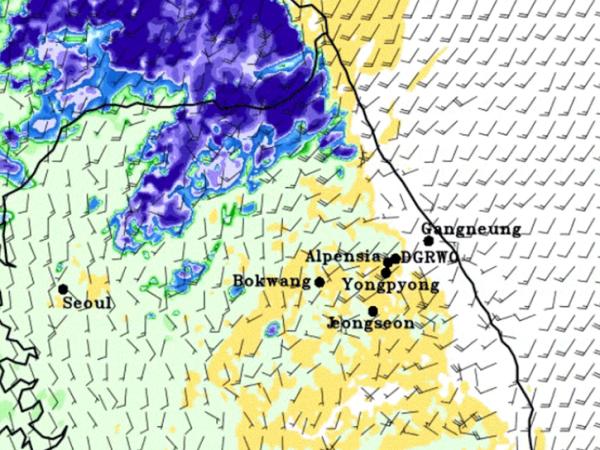 image of precipitation data over South Korea