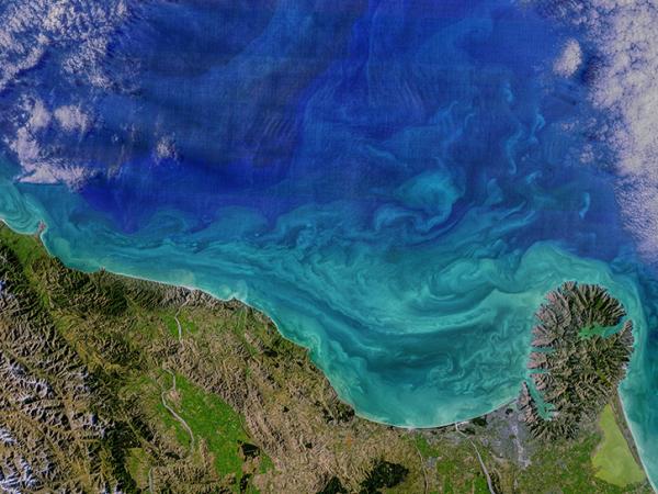 image of phytoplankton bloom in the Baltic Sea