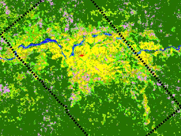 UAVSAR image of Gabon Forest in Africa
