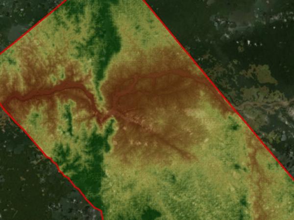 UAVSAR image of Gabon Forest in Africa