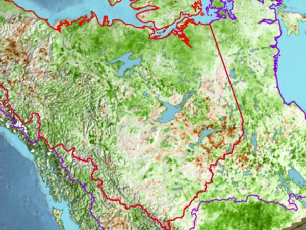 arctic boreal forest
