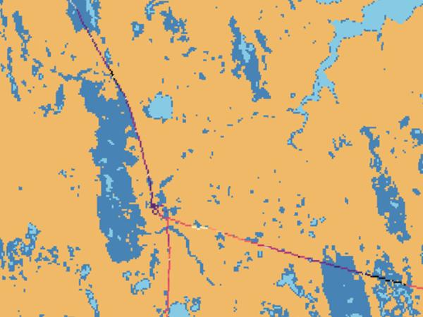 MODIS land cover data over the United States