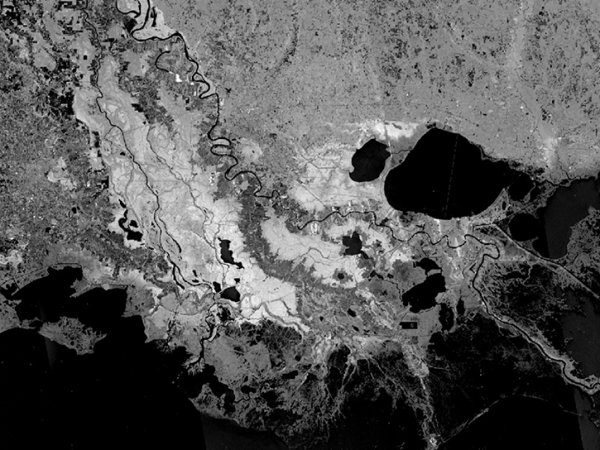 Synthetic Aperture Radar (SAR) Image