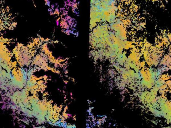 satellite nitrogen data