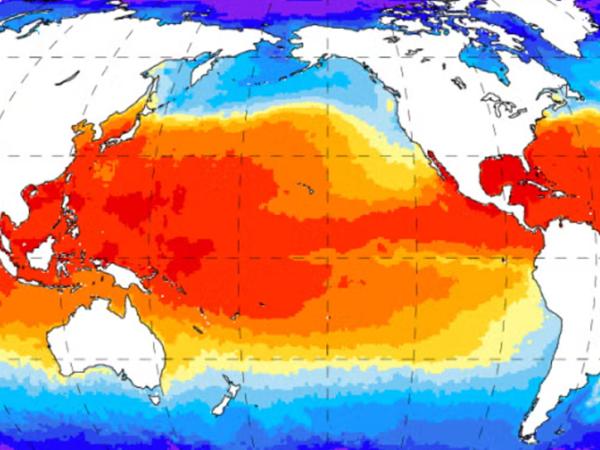 sea surface temperature data 