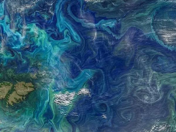 ocean eddies from space