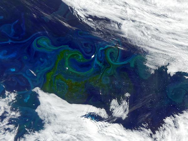 ocean color swirl