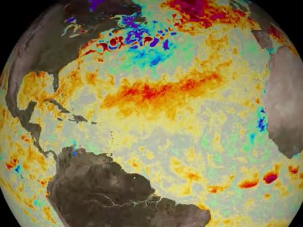 sea surface temperature anomalies in the Atlantic Ocean from the 2019 hurricane season