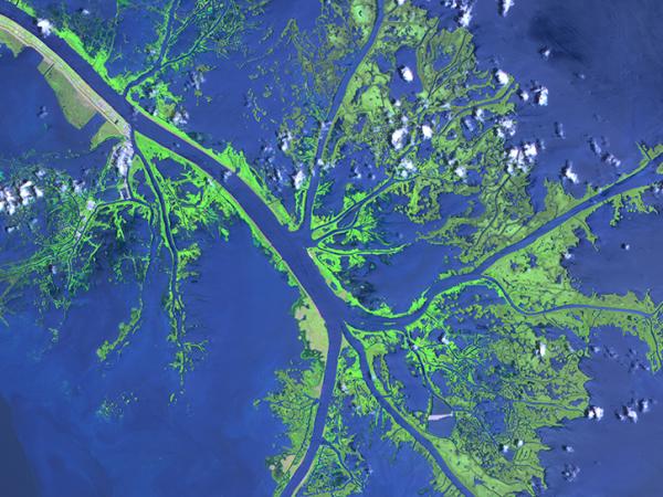 Mississippi Delta taken by ASTER platform