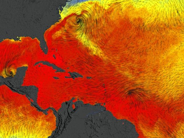 North Atlantic surface wind vector flow lines over sea surface temperature from June 1, 2011 to October 31, 2011.