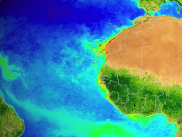 chlorophyll concentrations in the Atlantic ocean