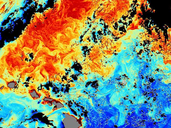 seawifs chlorophyll data