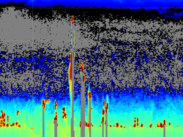 Lidar Imagery from CALIPSO-NVF