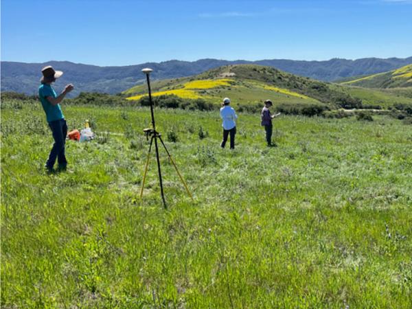 SHIFT field measurement