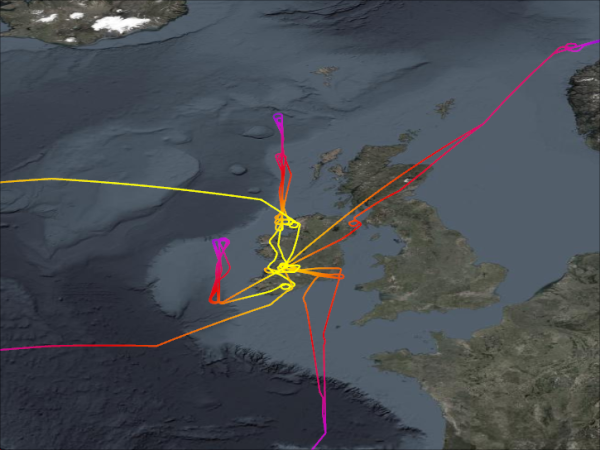 SONEX Flightpaths Originating from Dublin, Ireland