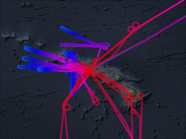 STRAT Flightpaths above Hawaii