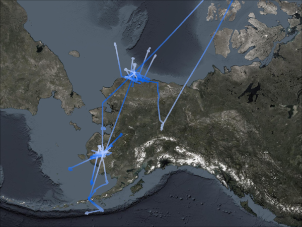 able3-flightpaths-hero