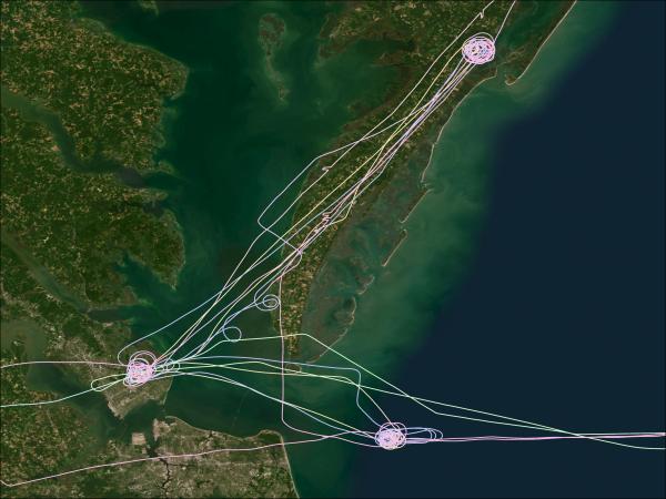 Image of multiple flight tracks from the devote campaign along the eastern shore, VA, USA. There are three sections with large spirals showing vertical column measurements.