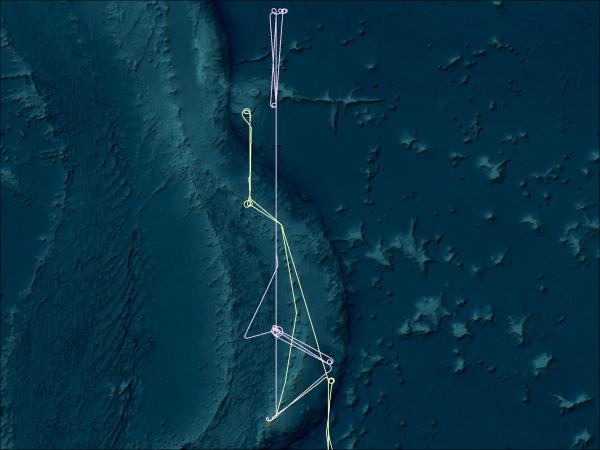 flight tracks from the PEM West B campaign.