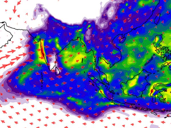 Convective precipitation and 850 hPa (hectopascal) winds for July 2010. Warmer colors indicate more convective precipitation associated with the south Asian monsoon wet season. The size of the arrows indicates stronger winds. The windfield highlights the low-level Somali jet, which pushes moist air towards southwestern India.
