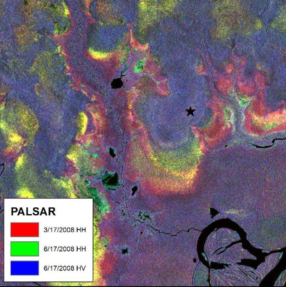 PALSAR_image