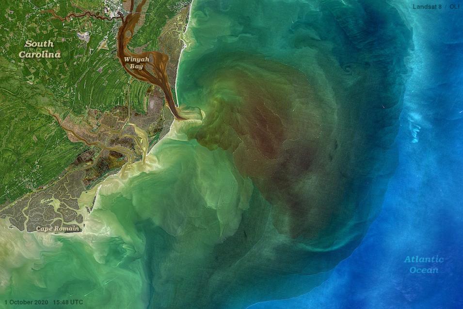 This true-color image from Landsat 8 shows South Carolina's Winyah Bay on October 1, 2020. The bay receives input from a number of blackwater rivers whose dark, reddish hues arise from the absorptive properties of colored dissolved organic matter (CDOM) which some have likened to nature's tea. 