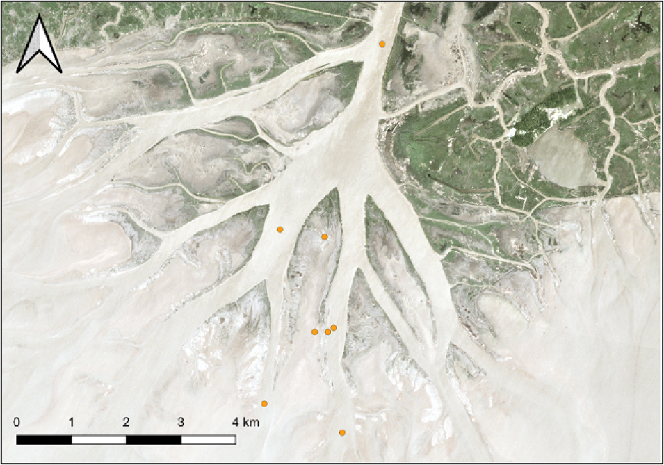 An aerial image of the Wax Lake Delta in Louisiana from the Delta-X project showing white, vein-like branches of the Mississippi River cutting through light-green areas of river delta before reaching the waters of the Gulf of Mexico.