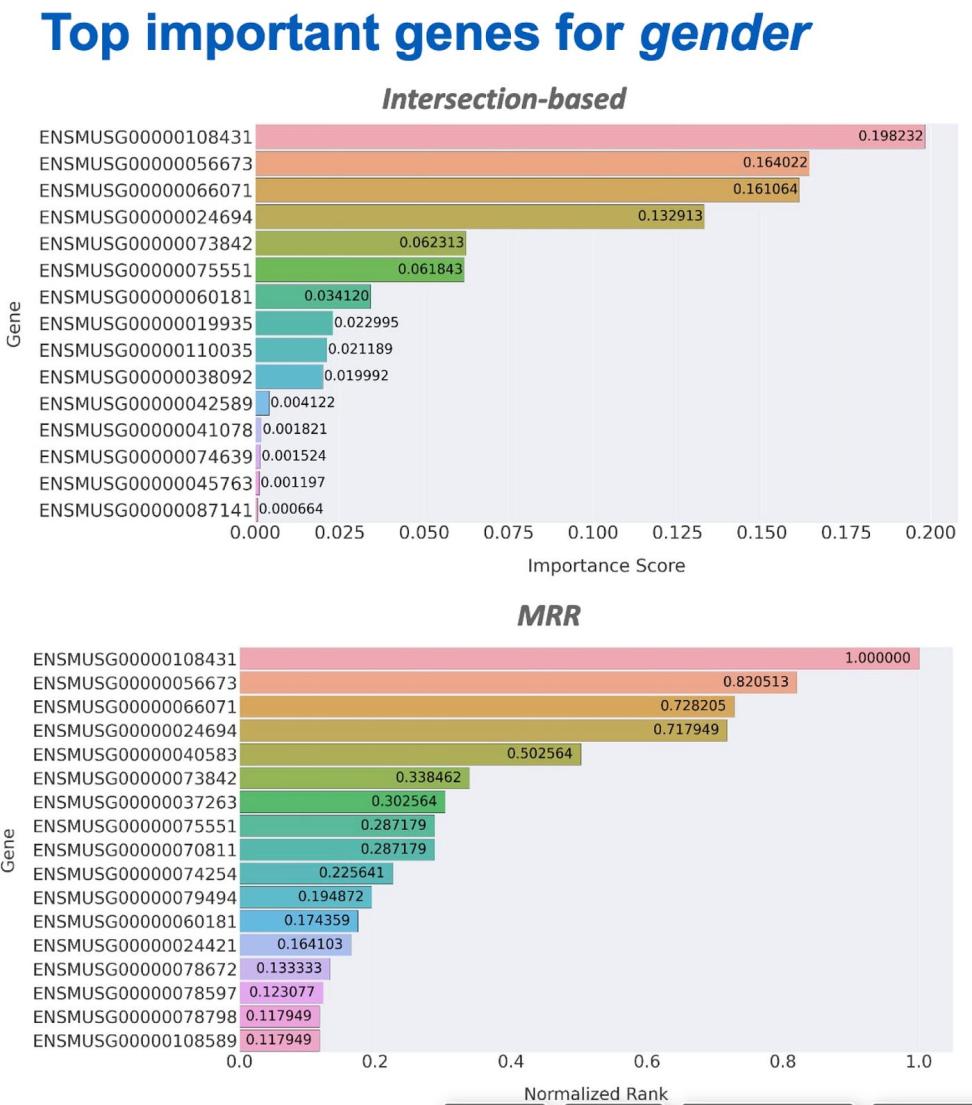 Bar graph showing the most important genes for gender