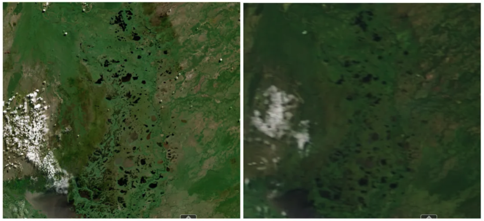 Comparison of HLS imagery (left) and MODIS imagery (right) for a marsh in Brazil.