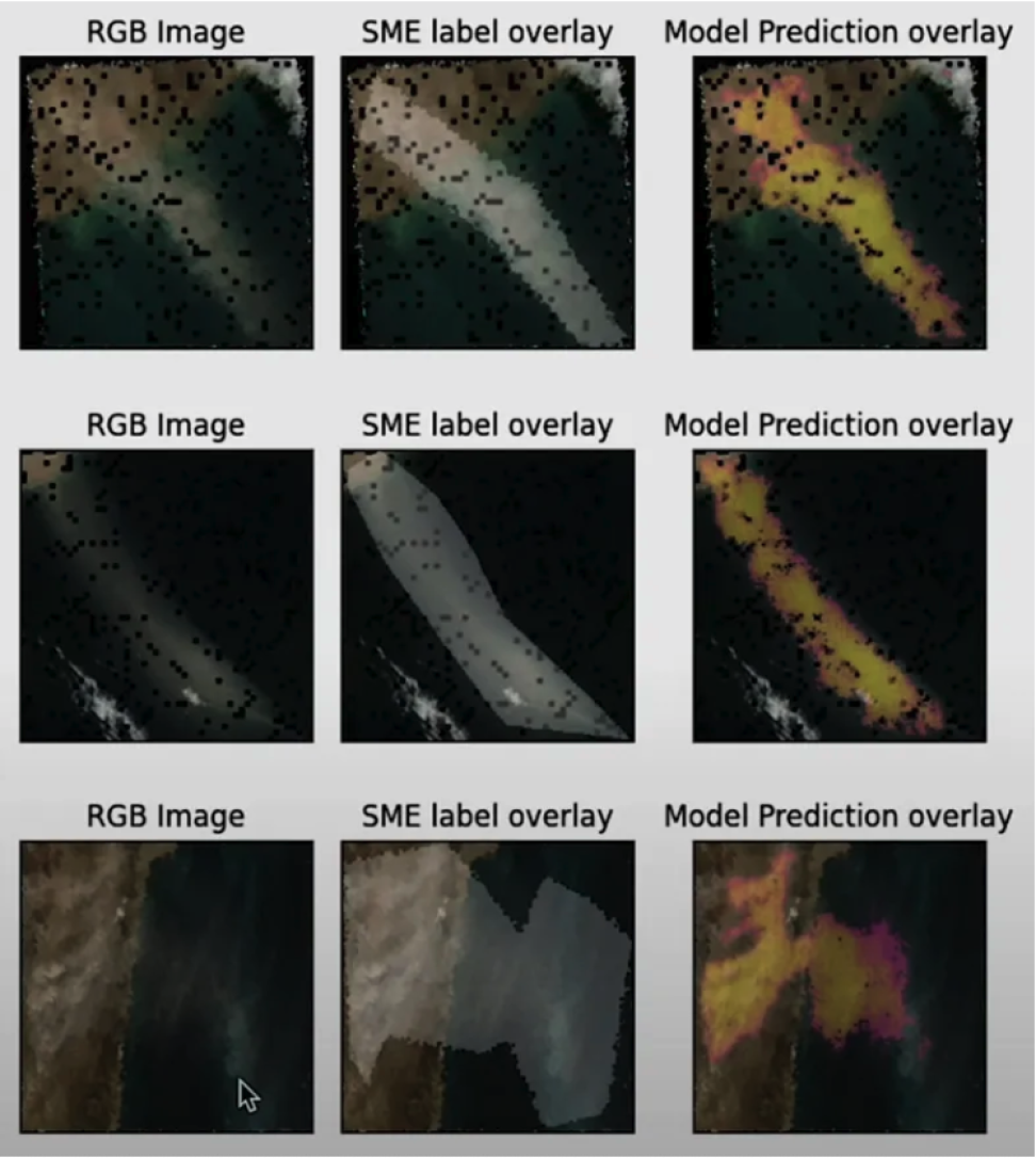Satellite data imagery comparing RGB Image, SME label overlay and model prediction overlays.