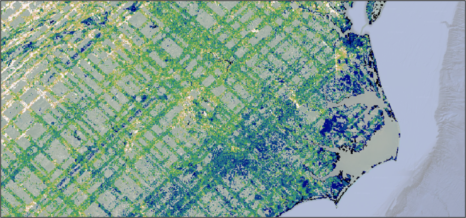 A screen capture from the GEDI Level 4B mean aboveground biomass density layer shows the crisscross pattern of GEDI’s laser tracks on the Earth’s terrestrial surface. 