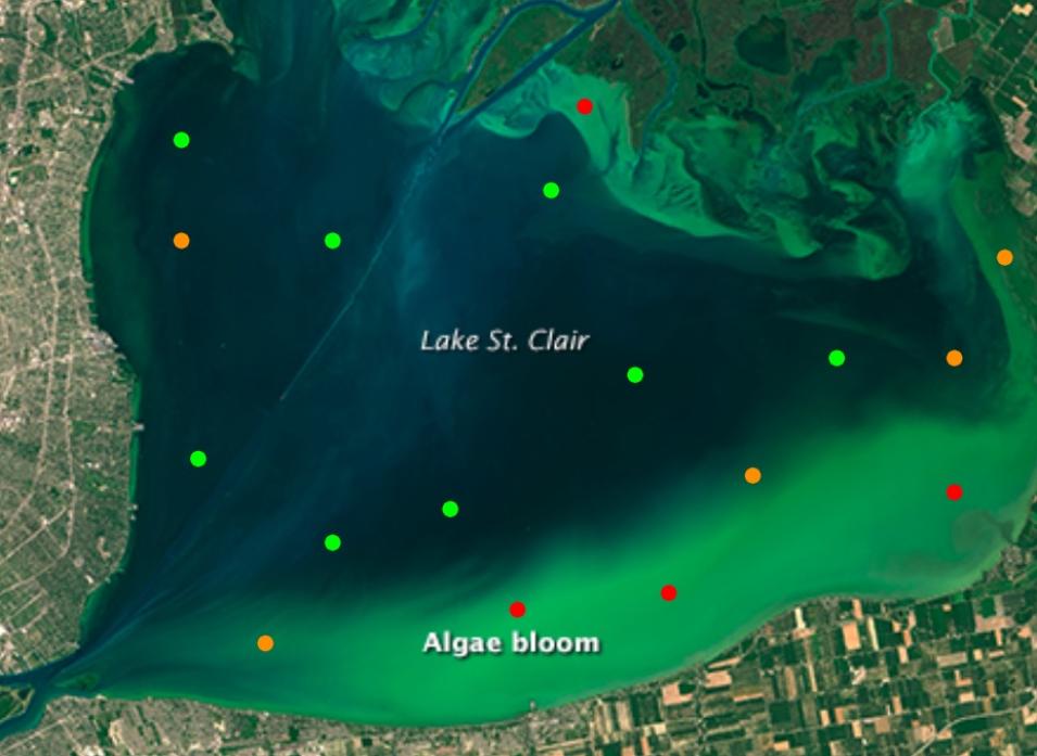 Satellite image of heart-shaped lake with dark water and green areas along shore indicating algal blooms; red colored dots in areas of algal bloom are CyFi indicated areas with the highest probabilities of having a bloom.