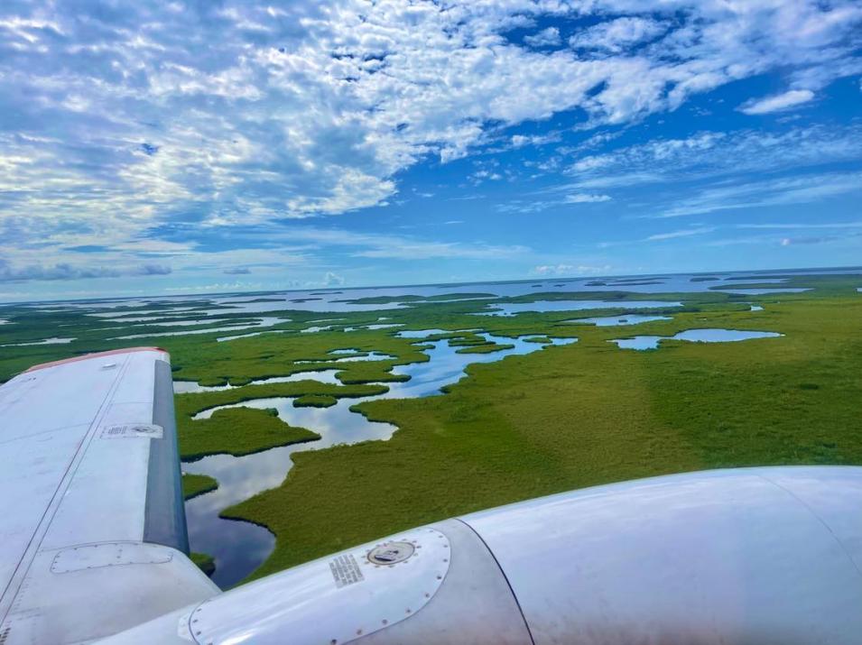 An aerial image of the mangrove ecosystem in south Florida.