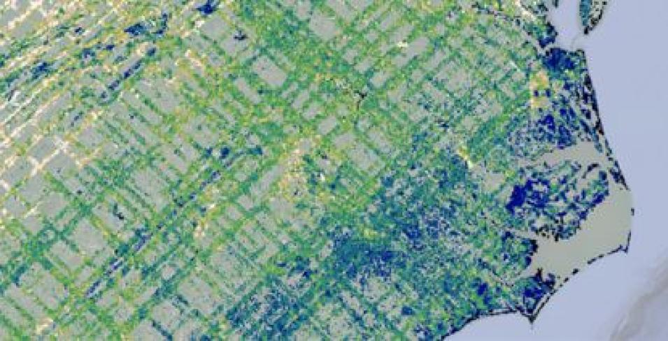 This visualization shows the criss-cross pattern in which the GEDI instrument covers Earth's terrestrial landscape.