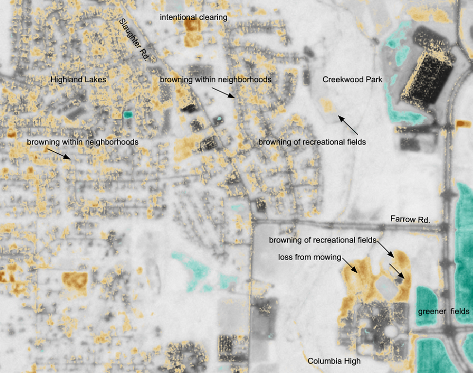 NDVI derived values with white to orange values.