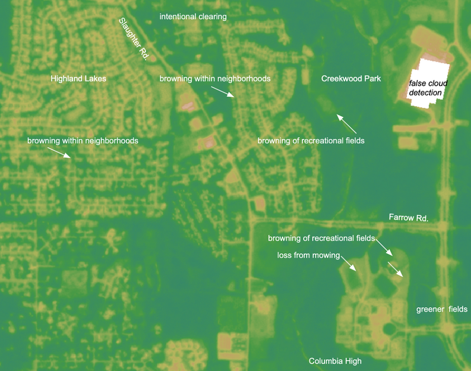 Colorized NDVI image
