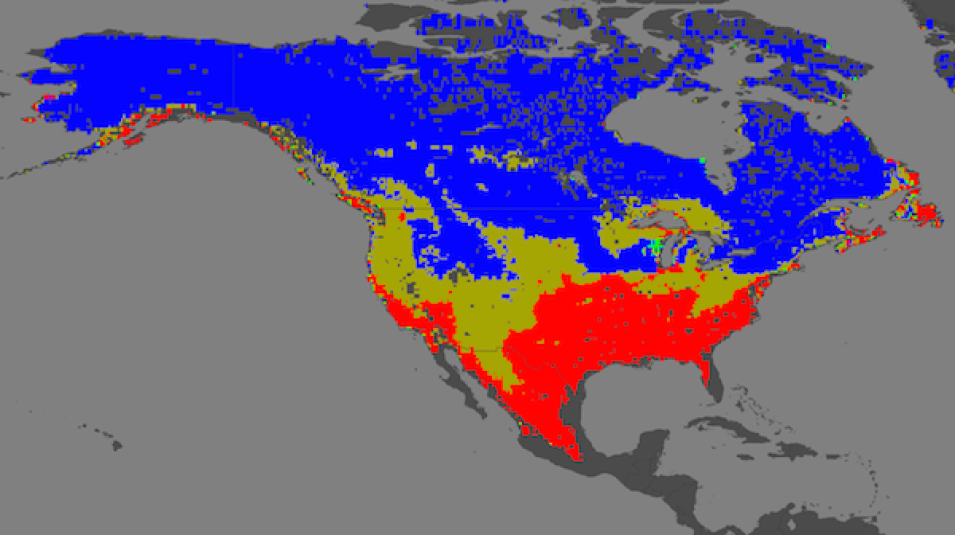 A map of North America colored in blue, yellow, and red.