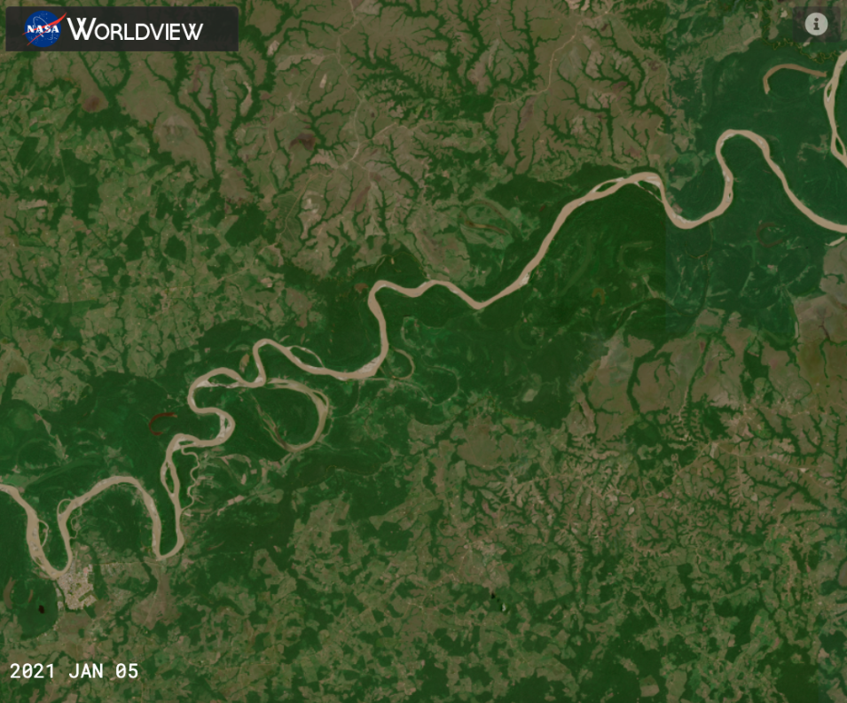Screenshot of a Worldview satellite image showing the Rio Guaviare in Colombia as a tan line snaking through green landscape.