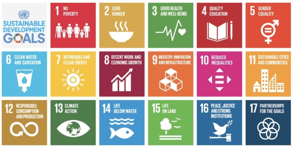 icon collage of the 17 sustainable development goals