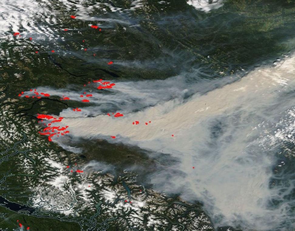 Worldview image download