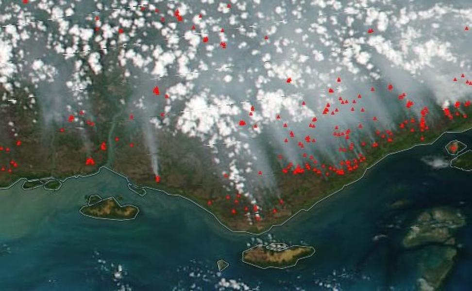 VIIRS fires + corrected reflectance with true color bands