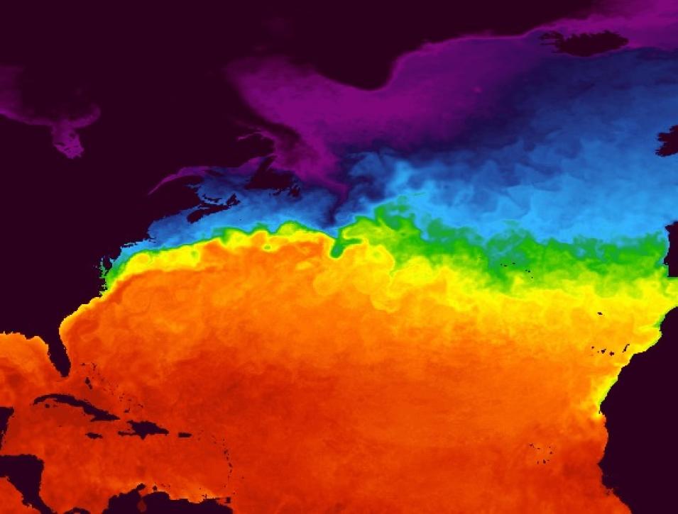 Worldview screenshot showing sea surface temperatures on Earth in a rainbow display of colors, red being high and purple being low.