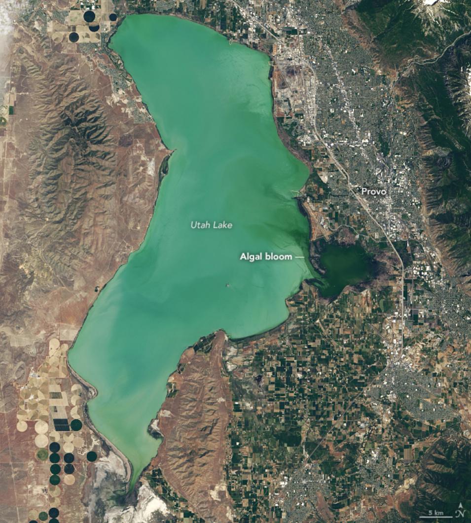 This rectangular image shows a visual-light view centered on Utah Lake just East of Provo, Utah. The subject of the image is the algal bloom in the lake. The lake is colored in shades of green with the darkest green on the right, eastern edge of the lake, indicating the highest concentration of algae.