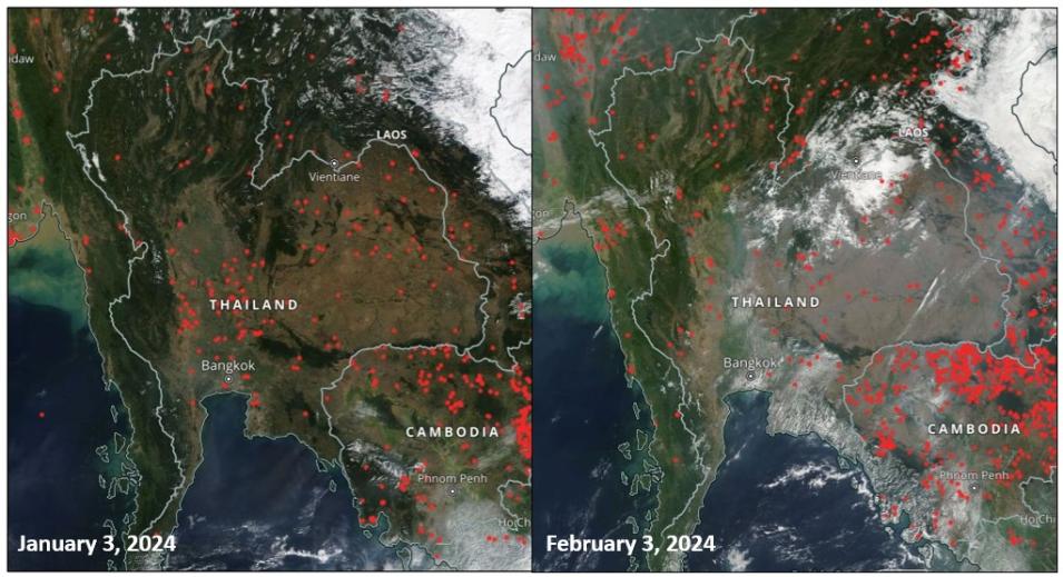 These comparison images from NASA Worldview show the difference in the number of the thermal anomalies and the amount of smoke haze in the Lower Mekong River Region between the months of January and February, 2024, which is the beginning of fire season in the region.