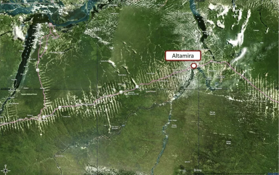 This image shows that logging roads identified in optical satellite data of an area around Altamira, Brazil