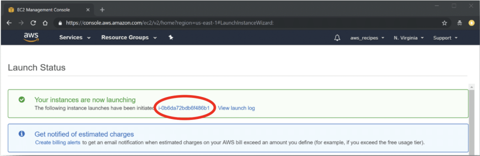 This image shows how to view EC2 Instance details 