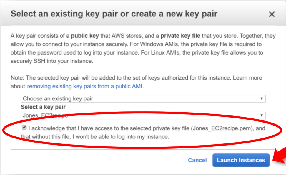 This image shows how to launch Instances 